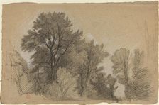 Edge of a Wood, c. 1840. Creator: Jean Achille Benouville