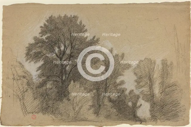 Edge of a Wood, c. 1840. Creator: Jean Achille Benouville.