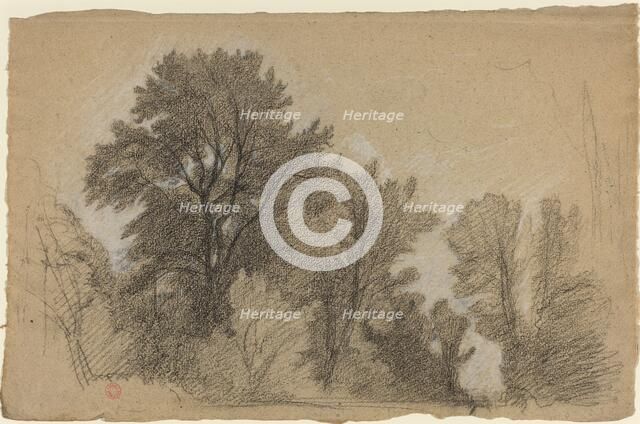 Edge of a Wood, c. 1840. Creator: Jean Achille Benouville.