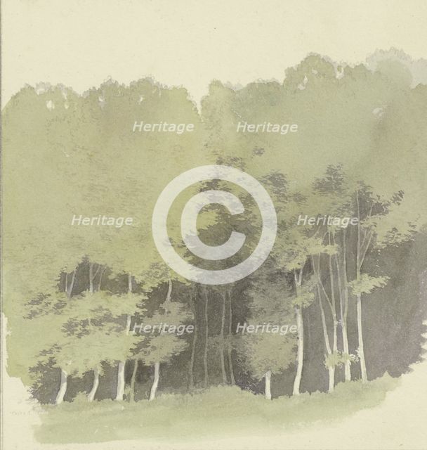 Edge of a wood, c1853. Creator: Carl Theodor Reiffenstein.