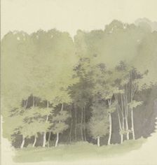 Edge of a wood, c1853. Creator: Carl Theodor Reiffenstein