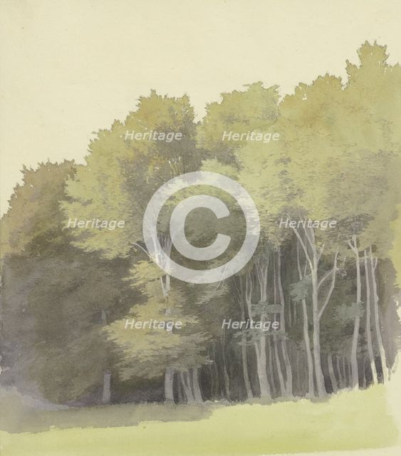 Edge of a wood, c1853. Creator: Carl Theodor Reiffenstein.