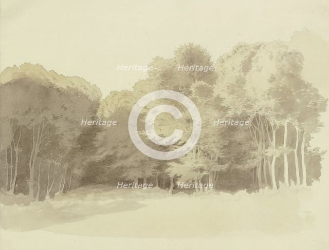 Edge of a wood, c1853. Creator: Carl Theodor Reiffenstein.