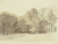 Edge of a wood, c1853. Creator: Carl Theodor Reiffenstein