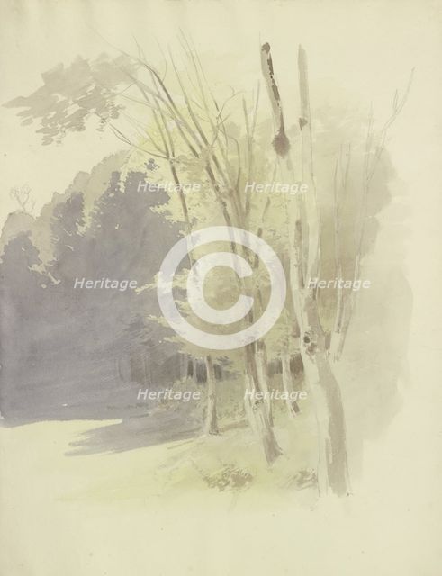 Edge of a wood, c1853. Creator: Carl Theodor Reiffenstein.