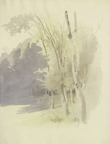 Edge of a wood, c1853. Creator: Carl Theodor Reiffenstein