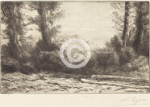 Edge of a Wood (Lisiere de bois). Creator: Alphonse Legros.