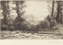 Edge of a Wood (Lisiere de bois). Creator: Alphonse Legros