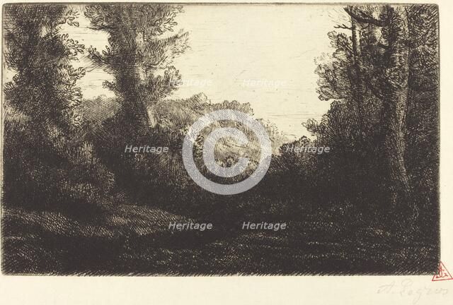 Edge of a Wood (Lisiere de bois). Creator: Alphonse Legros.