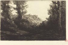 Edge of a Wood (Lisiere de bois). Creator: Alphonse Legros