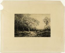 Edge of a Wood, n.d. Creator: Charles Emile Jacque