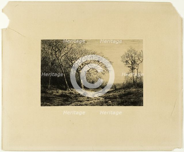Edge of a Wood, n.d. Creator: Charles Emile Jacque.