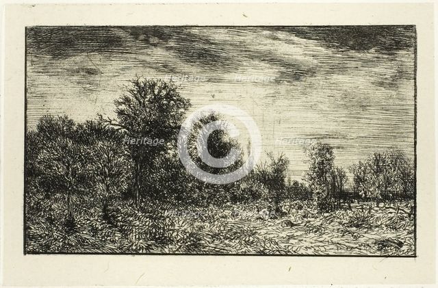 Edge of a Wood, under Cloudy Sky, 1846. Creator: Charles Emile Jacque.