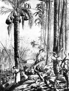 Edges of the Channel, Mahmoudiyeh 1880. Artist: Wilhelm Gentz