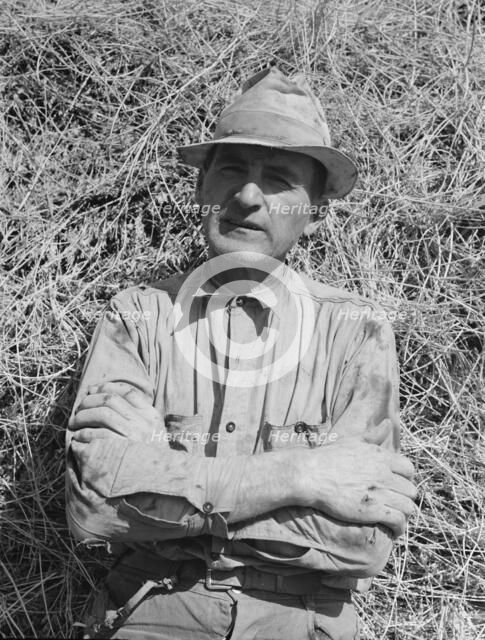 E.E. Botner, FSA borrower, Nyssa Heights, Malheur County, Oregon, 1939. Creator: Dorothea Lange.