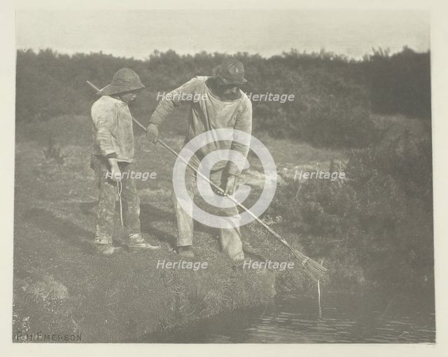 Eel-Picking in Suffolk Waters, c. 1883/87, printed 1888. Creator: Peter Henry Emerson.