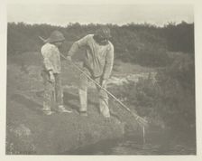 Eel-Picking in Suffolk Waters, c. 1883/87, printed 1888. Creator: Peter Henry Emerson