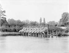 Eel traps on the River Thames, Bray, Berkshire, 1885. Artist: Henry Taunt