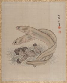 Eels, ca. 1890-92. Creator: Seki Shuko