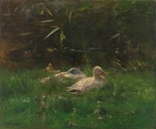 Eenden, c.1880-c.1904. Creator: Willem Maris