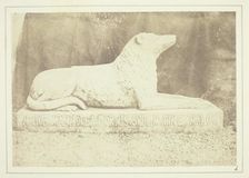 Effigy of Sir W. Scott's favourite dog Maida, by the side of the hall door at Abbotsford, 1844. Creator: William Henry Fox Talbot