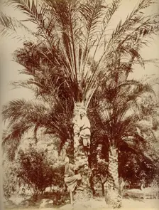 Egypt, 1880. Creator: Hippolyte Arnoux