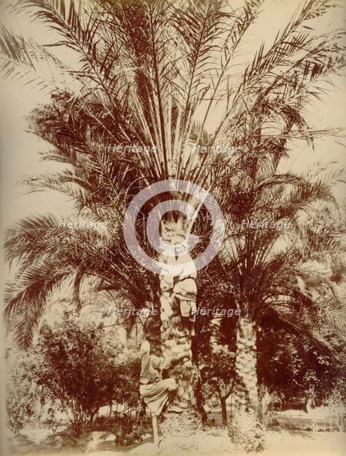 Egypt, 1880. Creator: Hippolyte Arnoux.