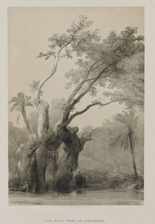 Egypt and Nubia, Volume III: The Holy Tree of Metereah, 1849. Creator: Louis Haghe (British, 1806-1885); F.G.Moon, 20 Threadneedle Street, London