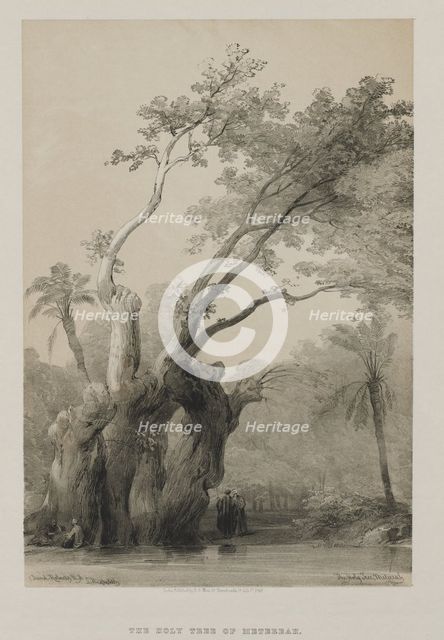Egypt and Nubia, Volume III: The Holy Tree of Metereah, 1849. Creator: Louis Haghe (British, 1806-1885); F.G.Moon, 20 Threadneedle Street, London.