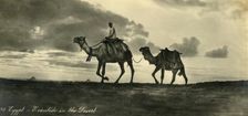 Egypt - Eventide in the Desert c1918-c1939. Creator: Unknown