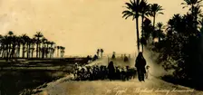 Egypt - Shepherd driving homeward c1918-c1939. Creator: Unknown