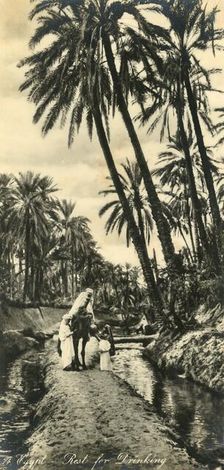 Egypt - Rest for Drinking c1918-c1939. Creator: Unknown