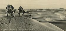 Egypt - The Sea of Land in the Desert c1918-c1939. Creator: Unknown