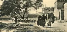 Egypt - Village near Cairo c1918-c1939. Creator: Unknown
