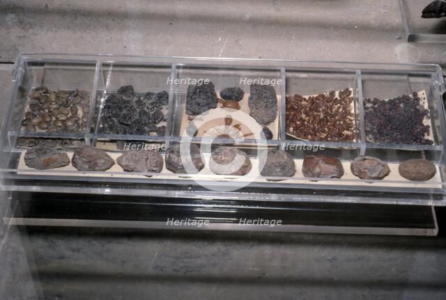 Egyptian Food from tombs. Grain, bread, beans as Funerary offerings.  Artist: Unknown.