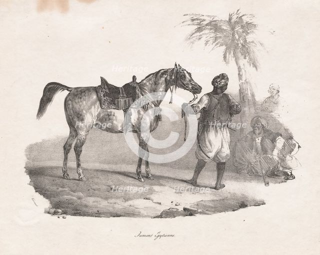 Egyptian Mare, 1822. Creator: Théodore Géricault (French, 1791-1824).