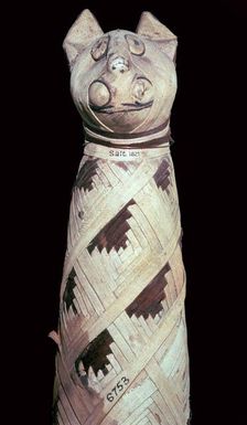 Egyptian mummy of a cat