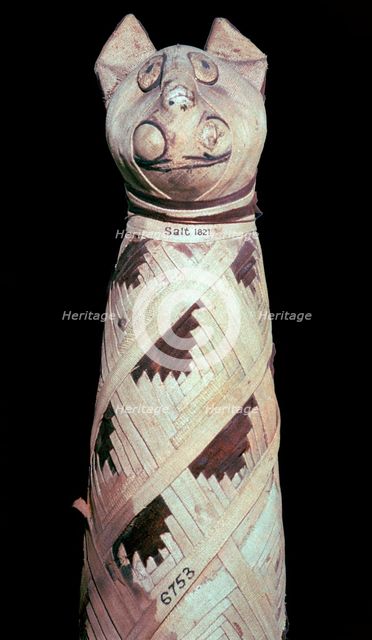 Egyptian mummy of a cat, Artist: Unknown