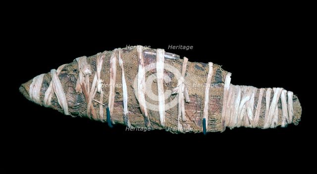 Egyptian mummy of a fish. Artist: Unknown
