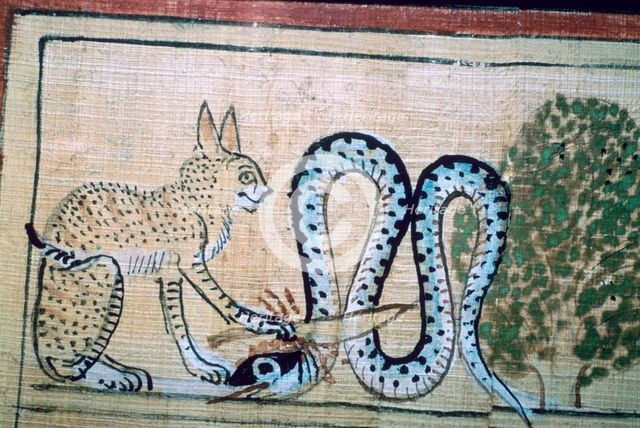 Egyptian papyrus of the cat of Ra killing Apophis the snake of evil. Artist: Unknown