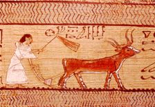 Egyptian Papyrus of Ani Ploughing, Theban Book of the Dead, c1250 BC