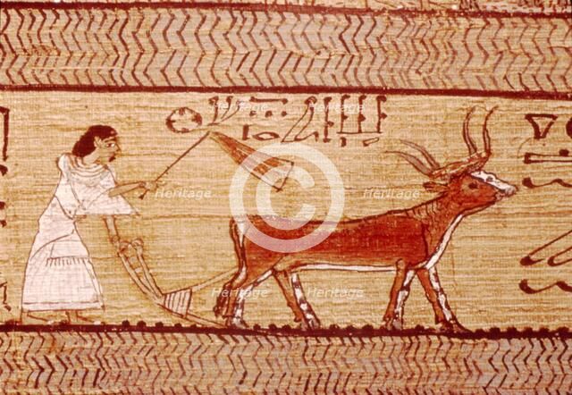 Egyptian Papyrus of Ani Ploughing, Theban Book of the Dead,  c1250 BC Artist: Unknown.