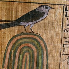 Egyptian papyrus showing Ani as a swallow, 13th century BC
