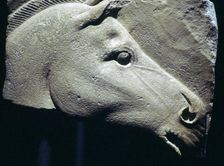 Egyptian relief of a horse's head