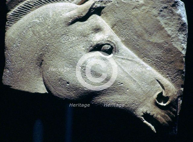 Egyptian relief of a horse's head. Artist: Unknown