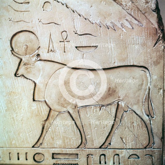 Egyptian relief of the bull-god Apis. Artist: Unknown