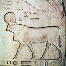 Egyptian relief of the bull-god Apis