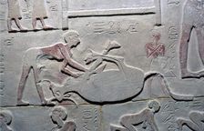 Egyptian relief of the cutting up of a carcass