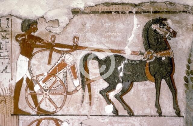 Egyptian Wallpainting from the Tomb of Nebanmun at Thebes, c1400 BC. Chariot and Attendant Artist: Unknown.