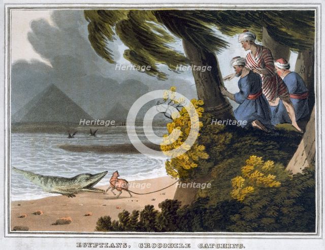 'Egyptians, Crocodile Catching', 1813. Creator: Matthew Dubourg.